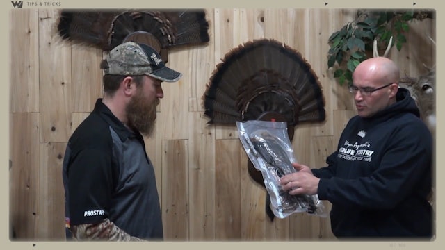 How to Prep Your Turkey for the Taxidermist