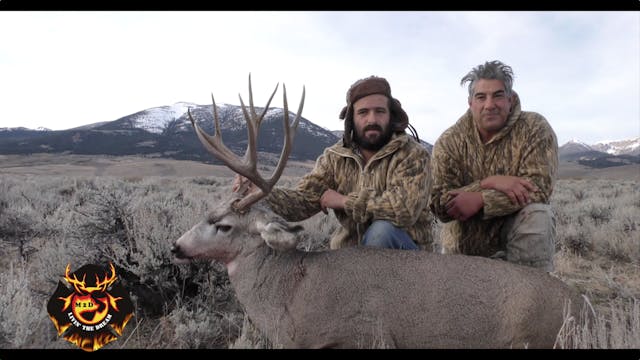 Idaho Mule Deer & Elk