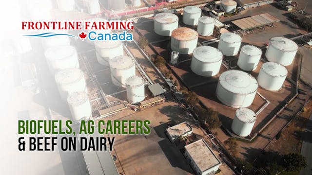 Biofuels, Ag Careers & Beef on Dairy