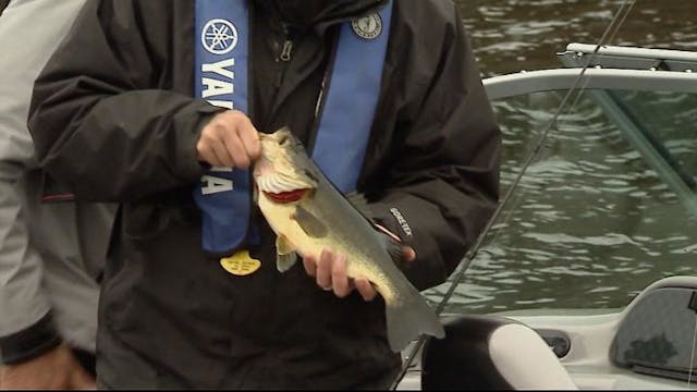Fishing for trophy Largemouth Bass, M...