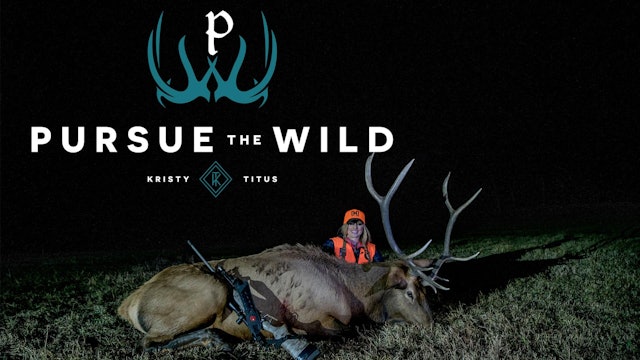 Return to Colorado, Late Season Elk Hunt