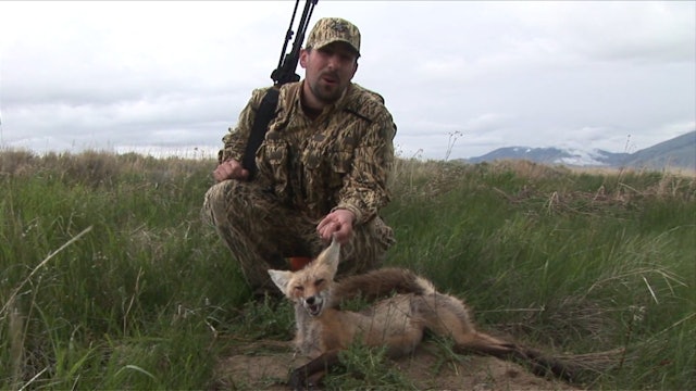 Eastern Idaho Predator Hunt