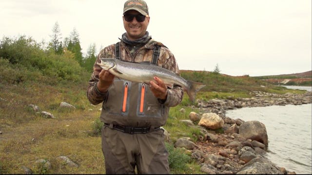 Chassomaniak in Alberta and at River ...
