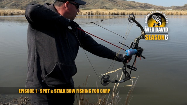 Spot & Stalk Bow Fishing for Carp