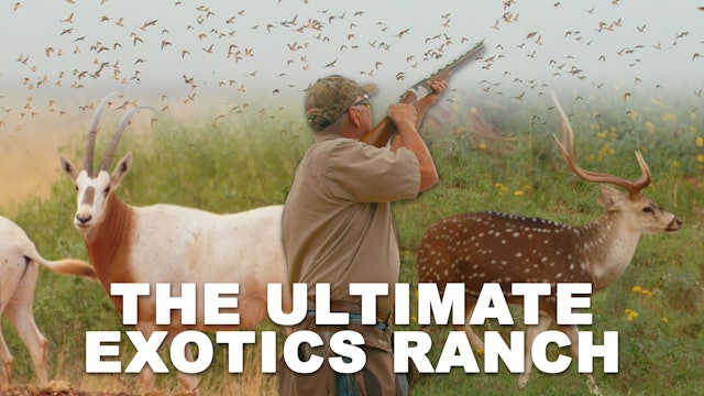 The Ultimate Exotics Ranch