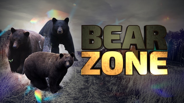 Bearzone
