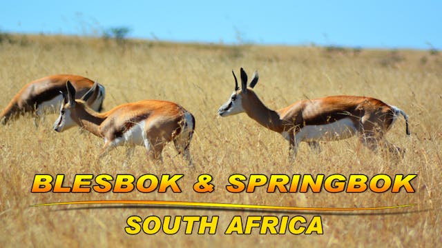 South Africa Fishing-Blesbok Safari