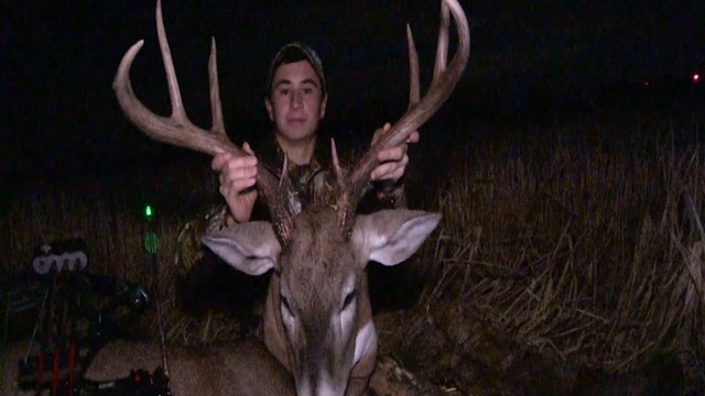 Alberta Mule Deer