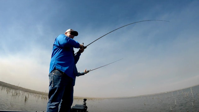 Fishing for Largemouth Bass with the Pros