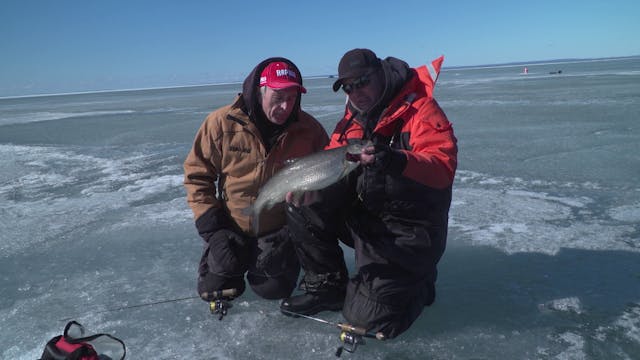 Ice Fishing Whitefish