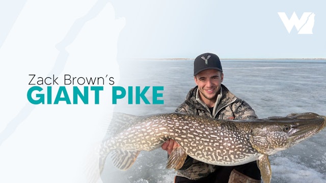 Zack Brown's Giant-Ass Pike