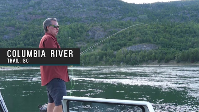 Sport Fishing on the Fly - Wild TV+