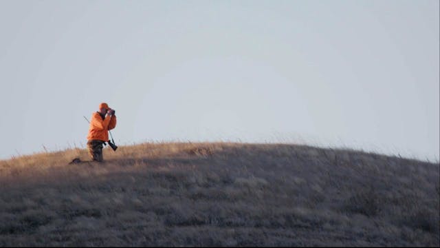 Prairie Pursuit - Mule Deer