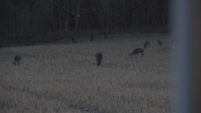 Hunting in December