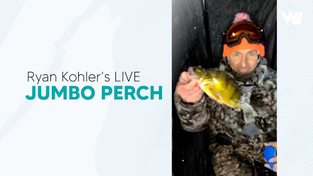 JUMBO Perch Ice Fishing