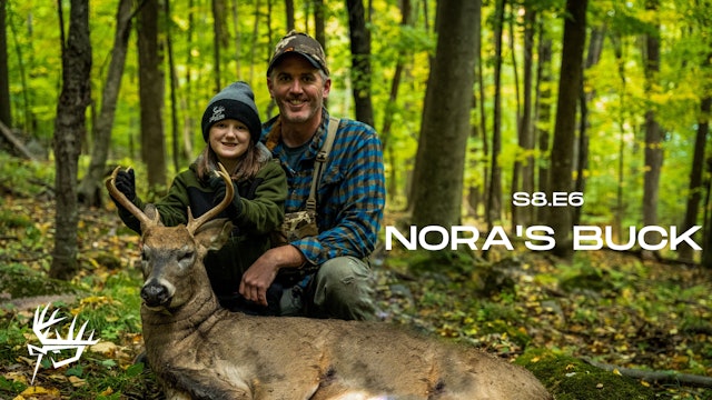 Nora's Buck