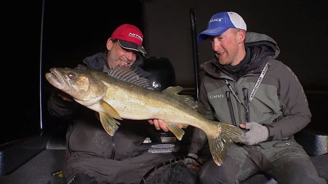 Fly By Night: Hit Stick Baits for Big Fall Walleye