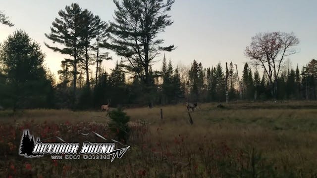 Wisconsin Elk Hunt
