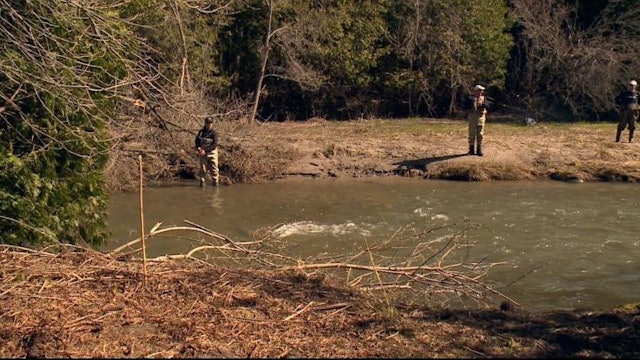 Ontario Rainbow Trout