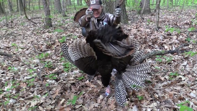 Chasing Them Ohio Turkeys