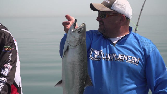Great Lakes Salmon & Trout