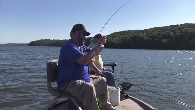 Kentucky Lake Crappie Fishing