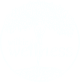 Wilkie Wellness Digital Studio