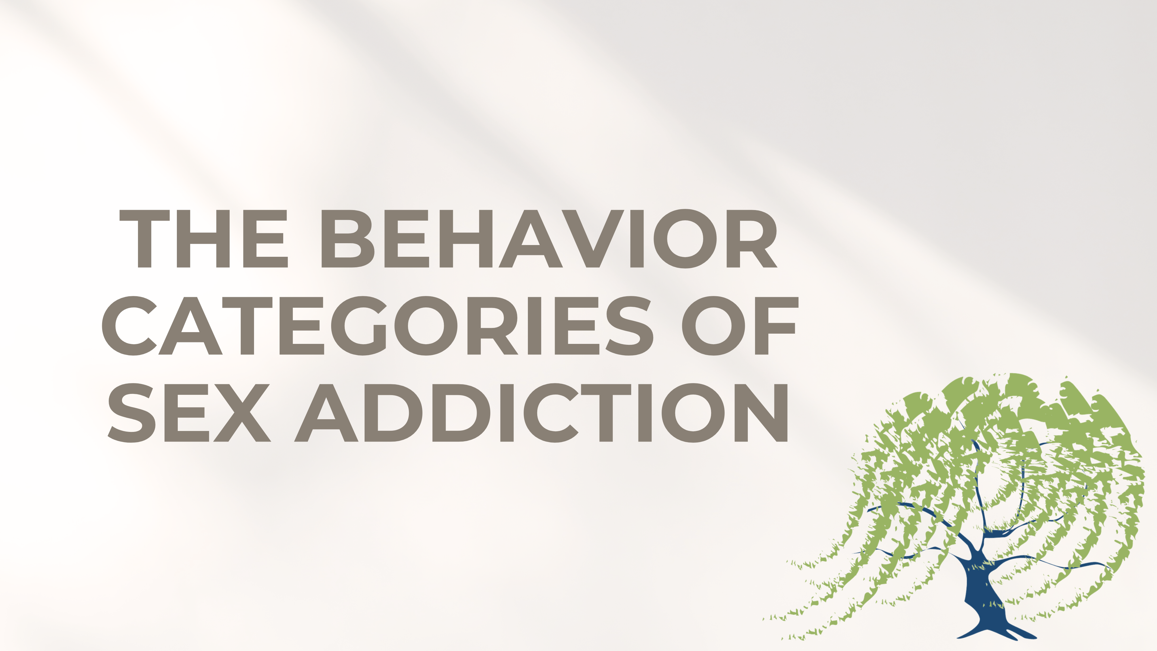 3 - The Behavior Categories of Sex Addiction