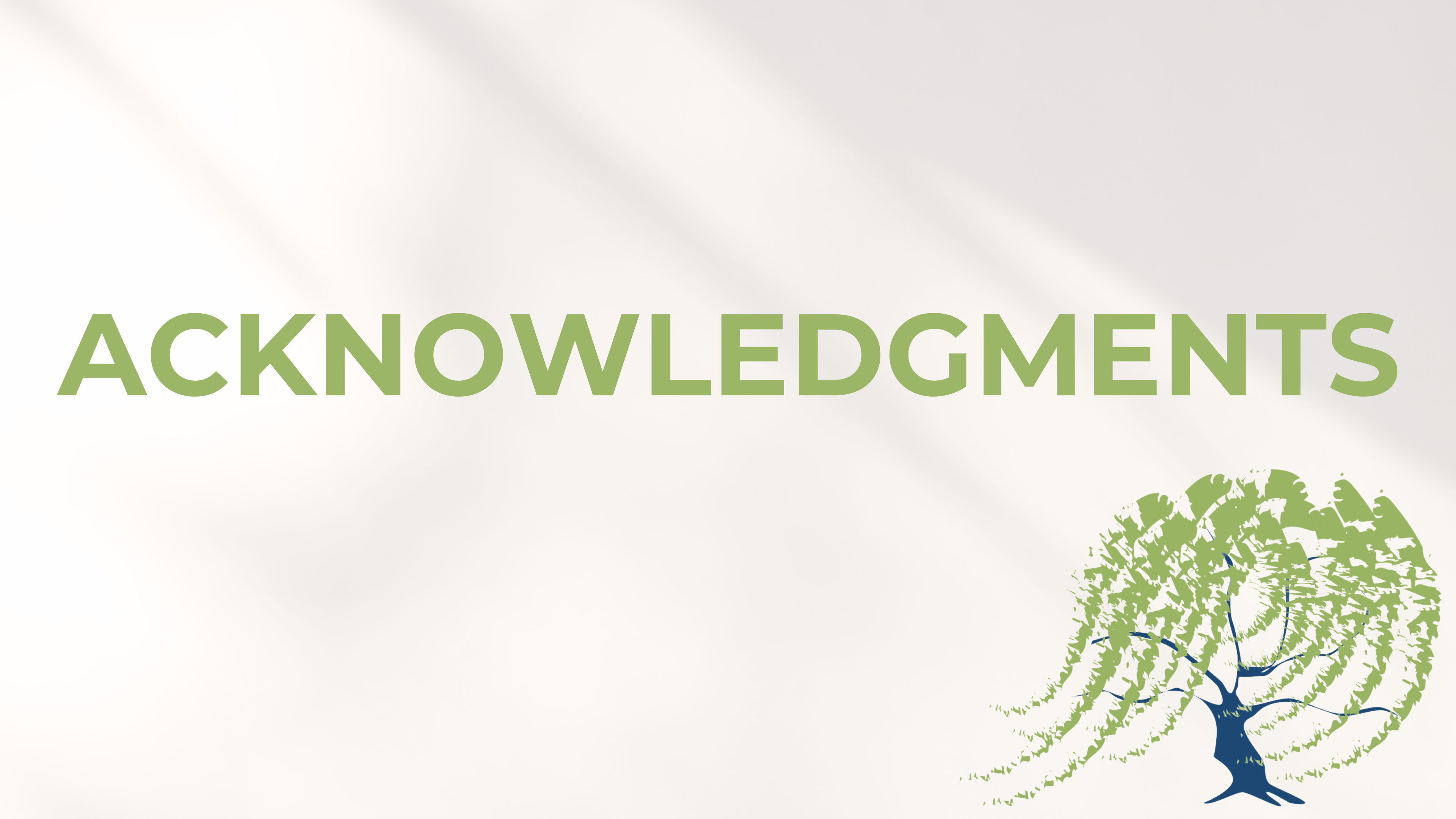 15 - Acknowledgements