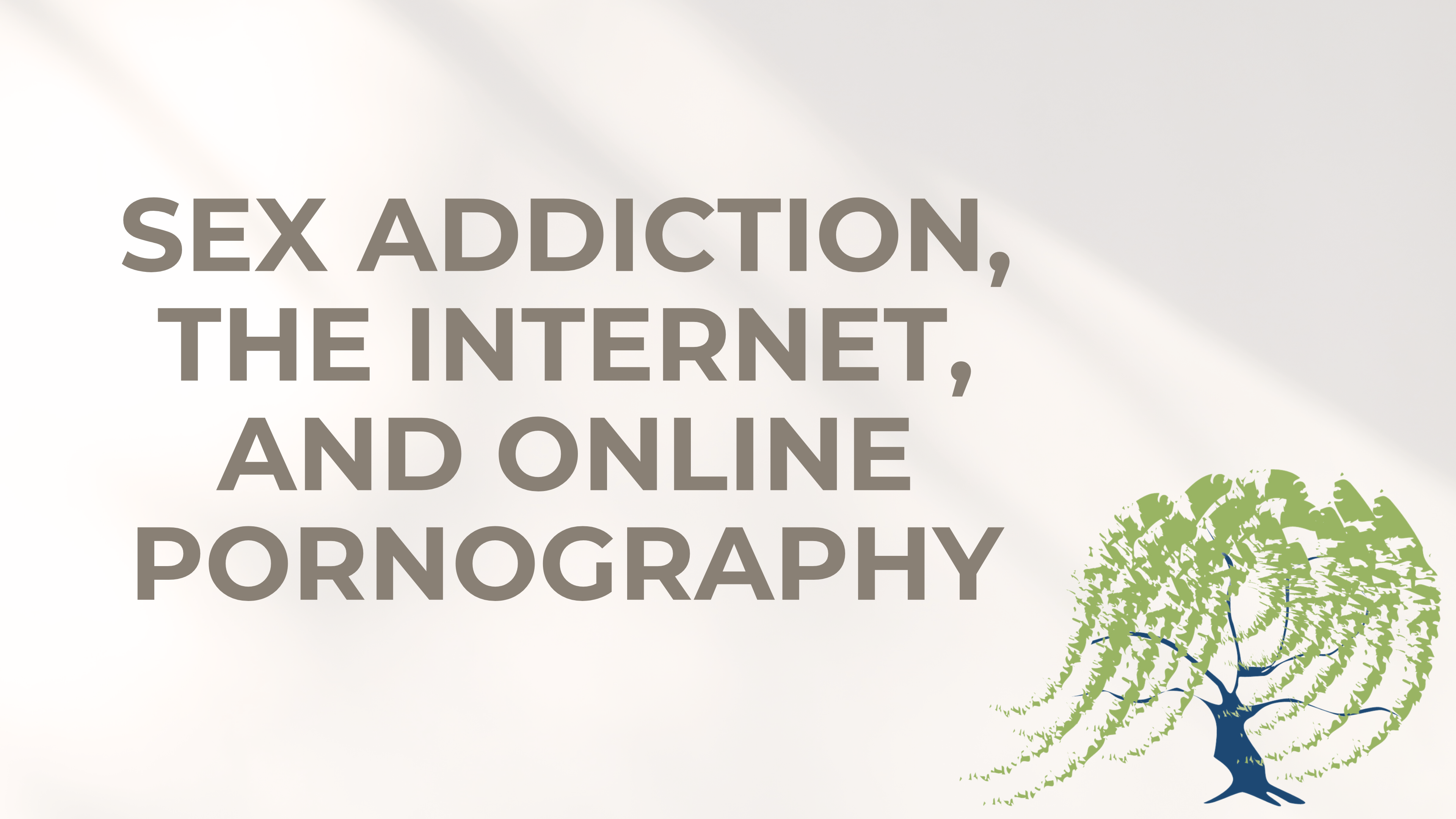 6 - Sex Addiction, the Internet, and Online Pornography