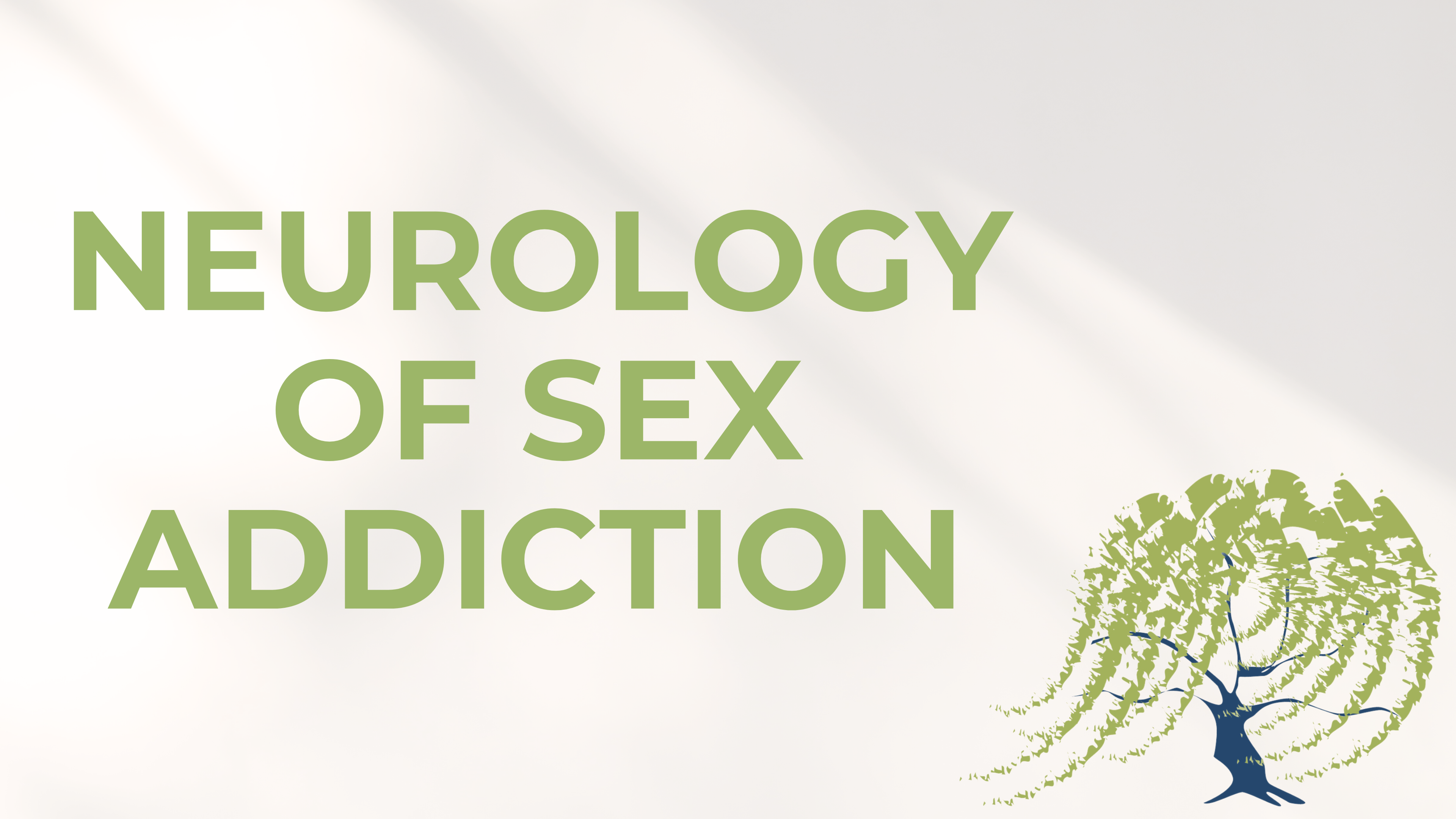 5 - Neurology of Sex Addiction