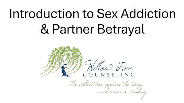 Introduction To Sex Addiction & Partner Betrayal 