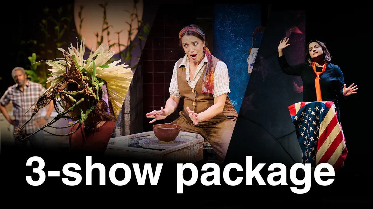 3-Show Digital Package