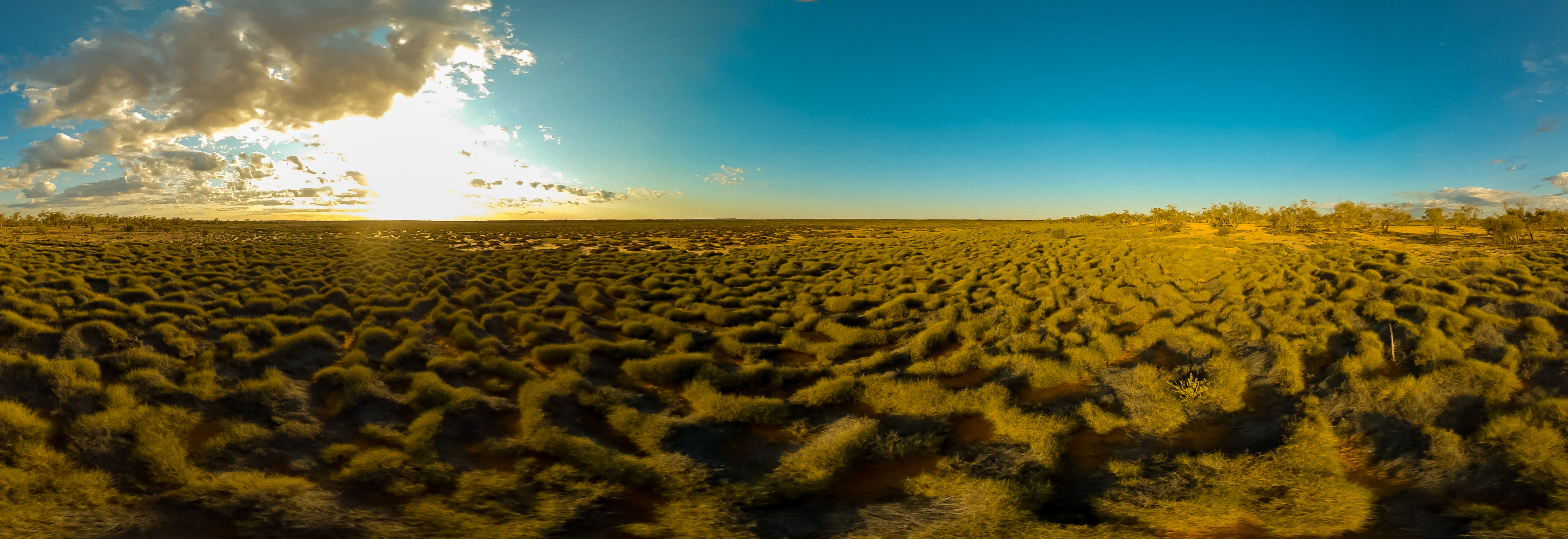 Wiluna Martu Ranger Trailer