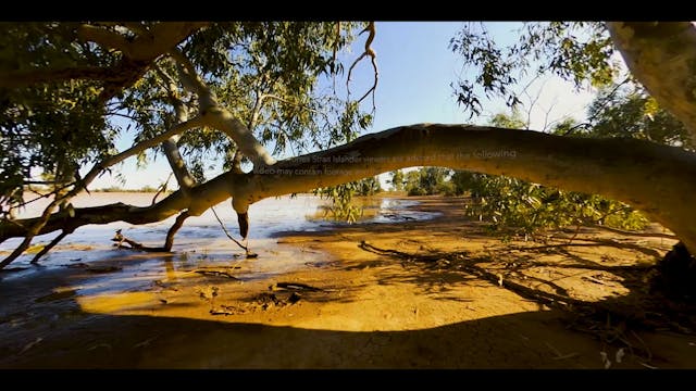 Wiluna Martu Ranger VR