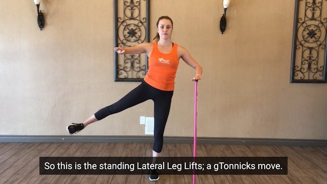 Lateral Leg Raises