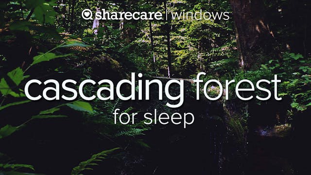 Cascading Forest