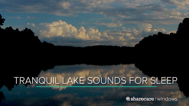 8 Hours of Tranquil Lake Sounds for Sleep (Ultra Low Light)
