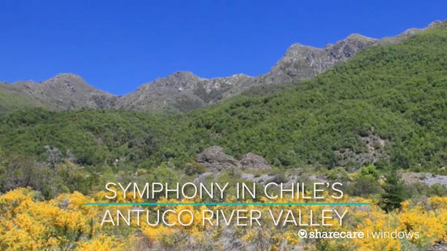 30 Minutes of Symphony in Chile’s Ant...