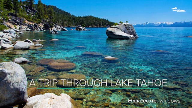 A Trip Through Lake Tahoe