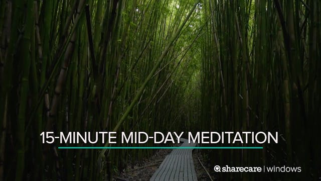 15-Minute Mid-Day Meditation