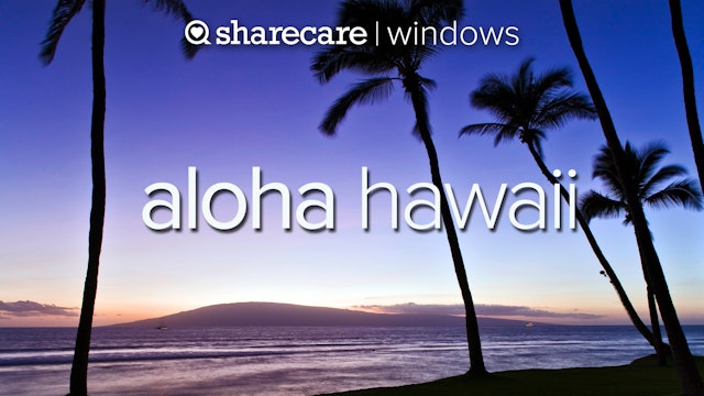 Aloha Hawaii natural relaxation