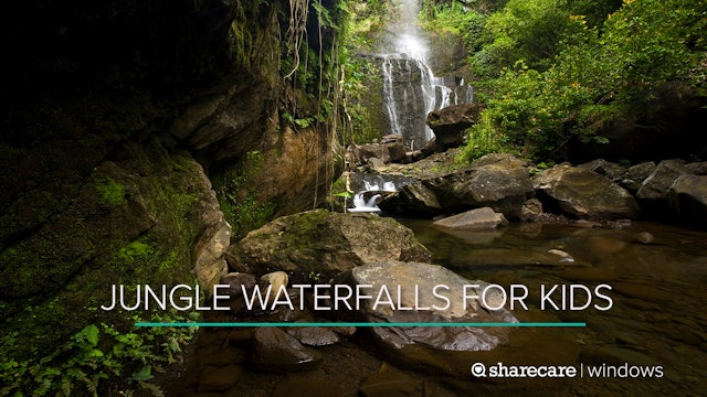 Jungle Waterfalls for Kids