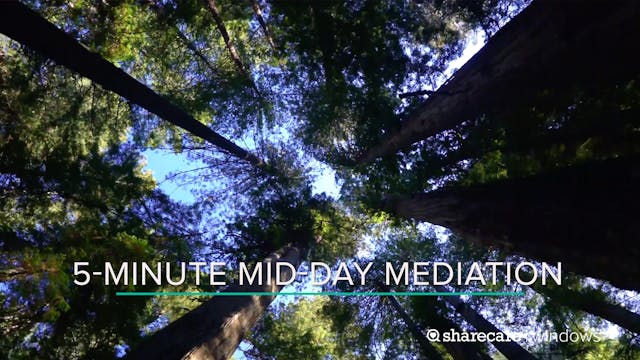 5-Minute Mid-Day Meditation