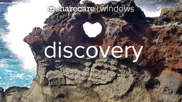 Discovery