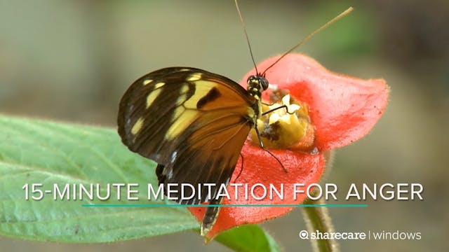15-Minute Meditation for Anger