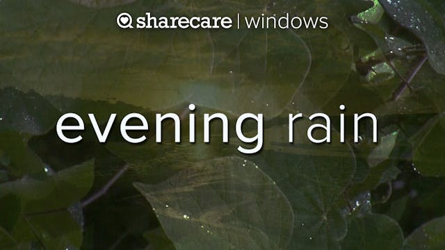 Evening Rain 1Hour