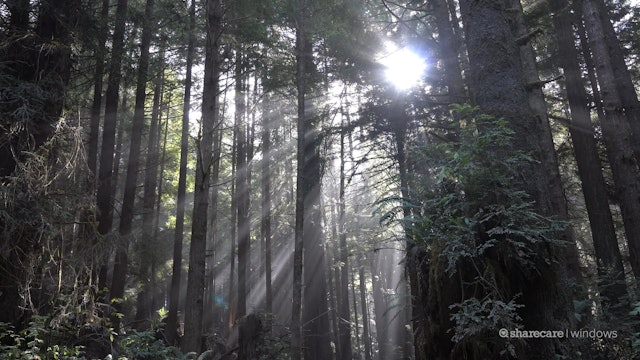 One Hour of Beautiful Northern California  PREVIEW