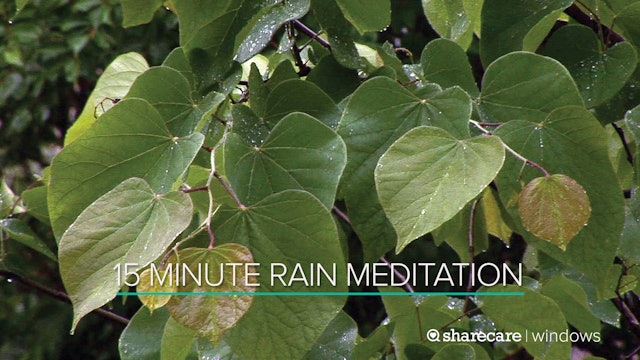 15 Minute Rain Meditation
