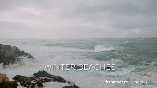 Winter Beaches 